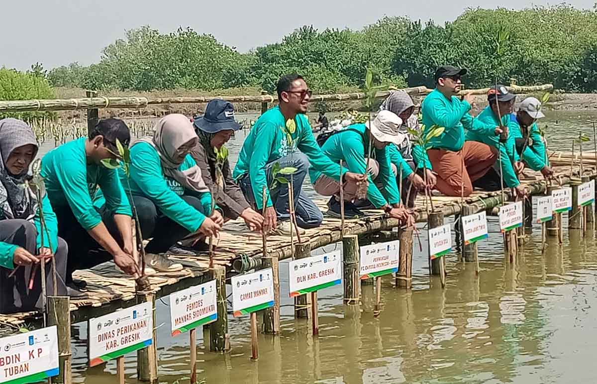 PT Cargil Indonesia bersama pejabat Pemkab Gresik, YEKA, dan ITS serta masyarakat setempat saat tanam mangrove di Kalimireng. Foto: Ist