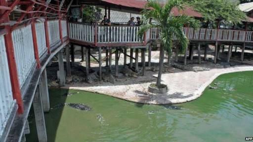 kolam buaya. mau berenang di sini? foto:repro dw.de