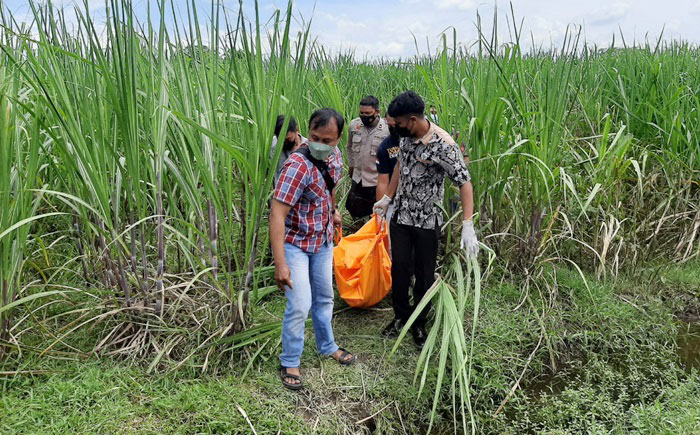 Petugas dari Tim Inafis Polres Kediri saat mengevakuasi korban dari kebun tebu. foto: ist.