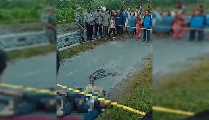 Petugas dan warga saat mengevakuasi Ponirin, Warga Nglegok, Kabupaten Blitar, yang tewas dililit ular.