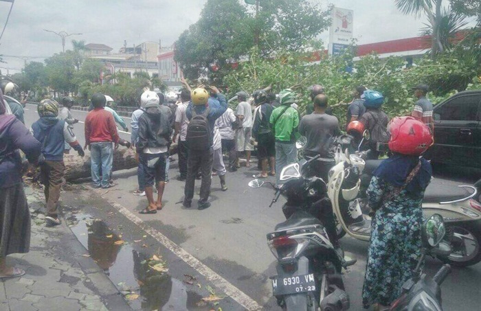 Para pemotor yang melintas mencoba menolong korban.
