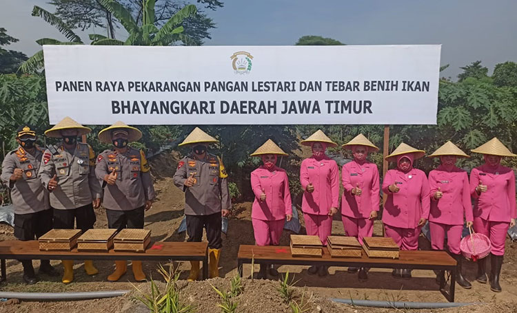 Panen raya pekarangan pangan lestari dan tebar benih ikan. (foto: ist)