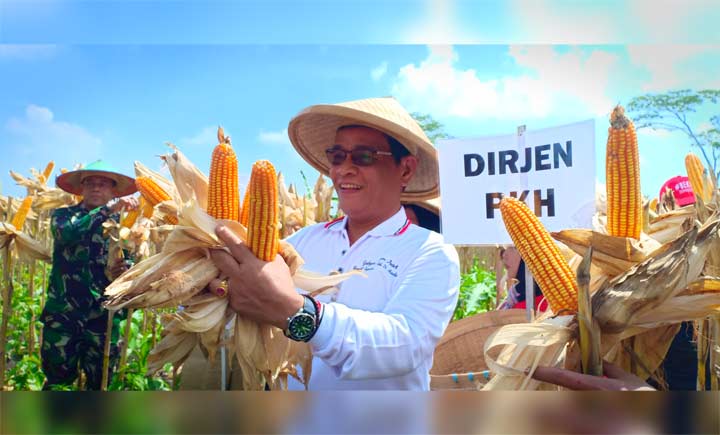 Dirjen PKH Kementerian Pertanian I Ketut Diarmita menghadiri panen raya jagung di Kabupaten Blitar.