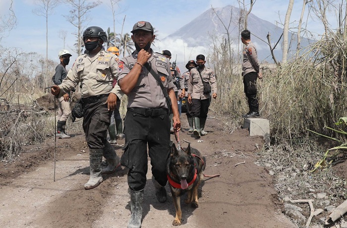 Petugas sedang melakukan pencarian korban yang hilang.