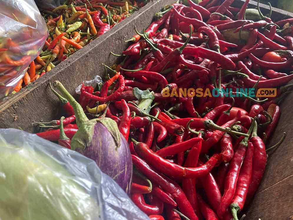 Harga Cabai Besar dan Keriting di Bali Hari Ini Melonjak, Beras hingga Bawang Stabil