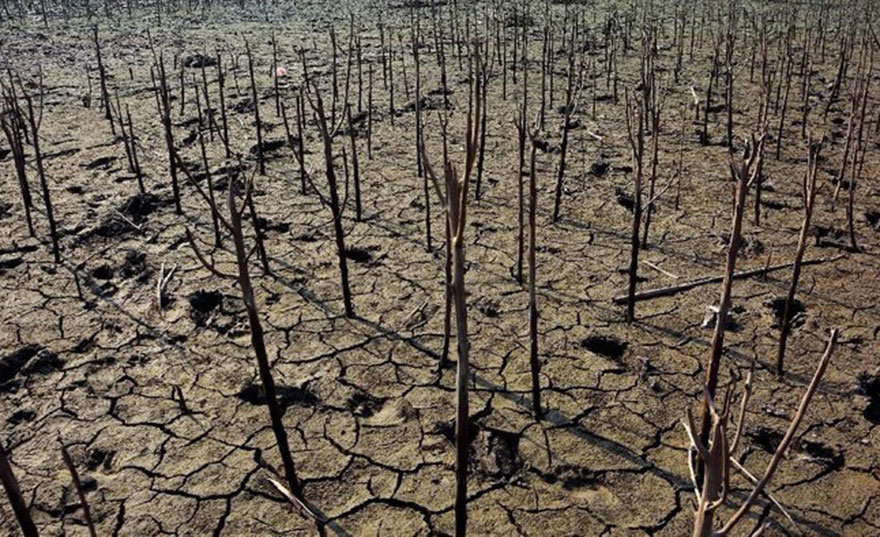 Ilustrasi kekeringan. foto: detikcom