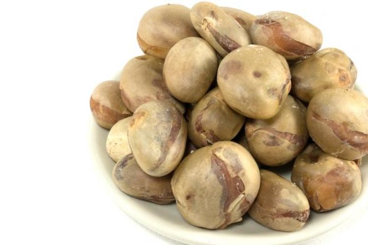 Biji Nangka Dapat Kurangi Kadar Kolesterol, Simak Khasiat Lainnya 