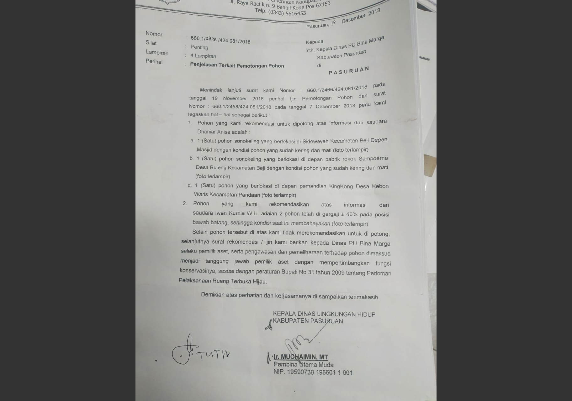Soal Pencurian Pohon Sonokeling di Pasuruan, Oknum LSM Diduga Salah Gunakan Rekom DLH
