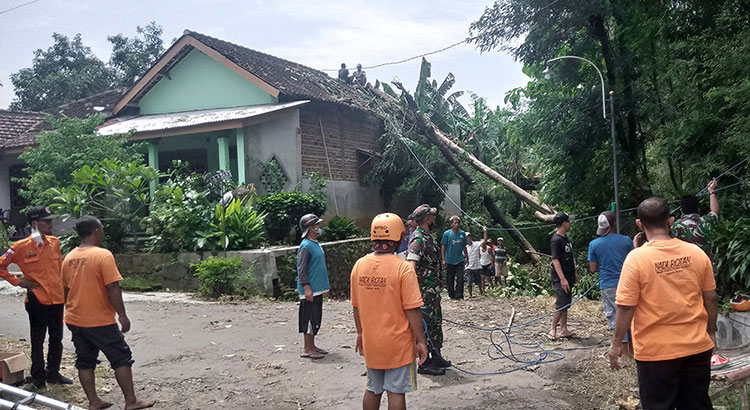 Petugas BPBD Kabupaten Madiun saat membersihkan pohon yang tumbang dan menimpa rumah warga.