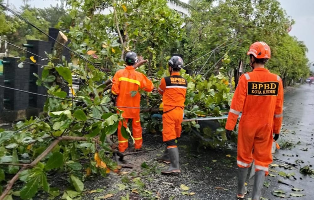 Petugas saat membersihkan pohon tumbang yang melintang di jalan. Foto: Ist. 