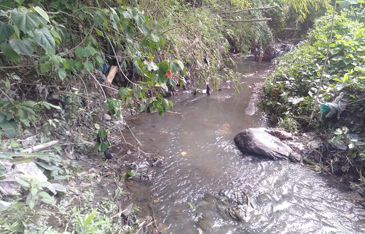 Kondisi sungai di Dusun Kemranggen, Desa Winong, Kecamatan Gempol, Kabupaten Pasuruan, yang kerap meluap akibat pendangkalan.