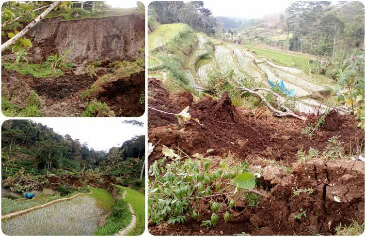 Kawasan yang longsor hingga kini belum dilakukan penanganan.