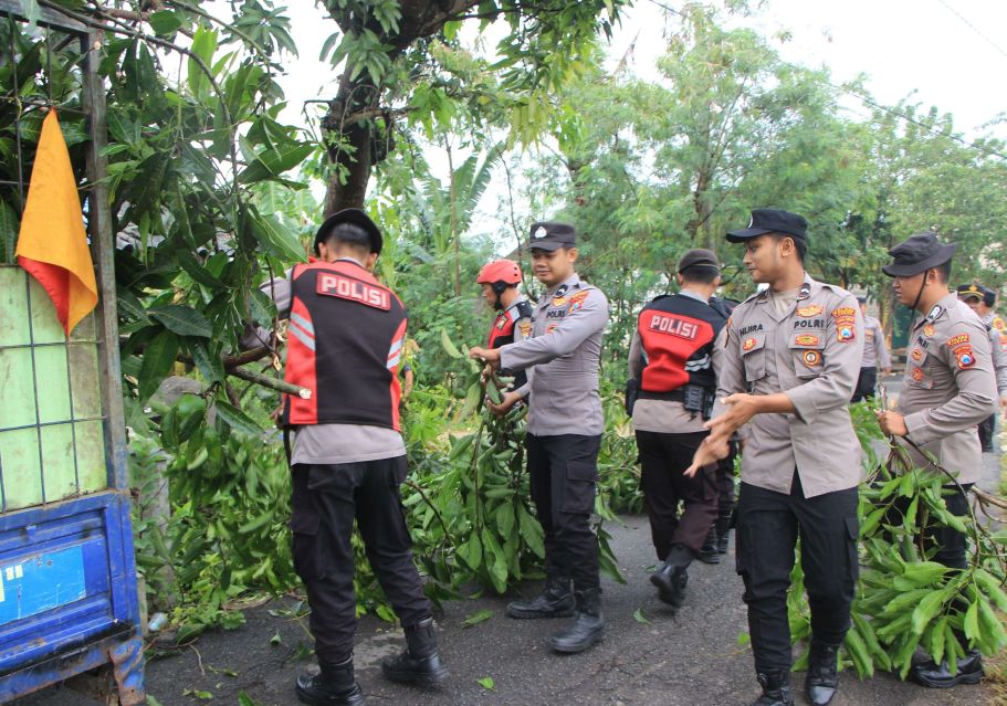 Anggota Polres Tuban dan Polsek Singgahan saat membersihkan material pohon yang tumbang akibat angin puting beliung