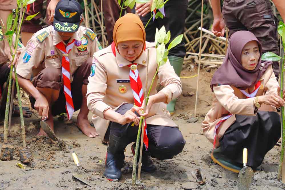 Gubernur Khofifah saat menanam mangrove di wilayah pesisir Jawa Timur. (Ist)