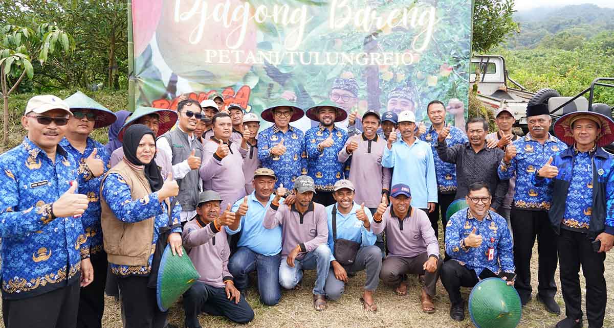 Wali Kota Batu bersama wakilnya saat meninjau kebun apel dan area kandang komunal di Dusun Besta sebagai rangkaian dari dialog dengan Gapoktan Tulungrejo.
