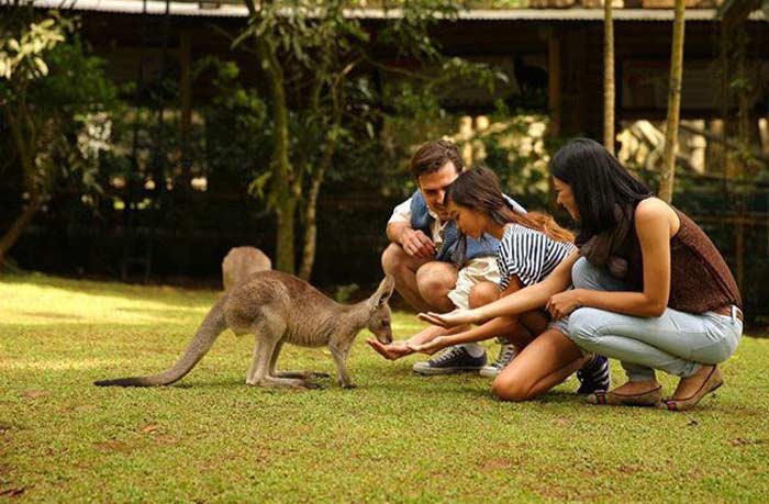 Taman Safari Prigen membuka zona baru yang dinamai Australiana. Di mana dalam kawasan tersebut terdapat satwa-satwa yang berasal dari Australia dengan luas sekira 6 hektare.