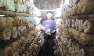 PROSPEK. Joko Pitono (27) saat menunjukan usahanya budidaya jamur tiram. Prospek bisnis itu menjajikan, omset pertahun mencapai 100 juta. Foto: Eky Nurhadi/BANGSAONLINE