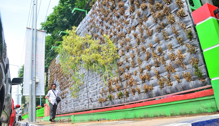 MATI: Bunga di taman vertikal garden yang berada di barat Alun-alun Bojonegoro terlihat kering dan mati. foto: EKY NUR HADI/BANGSAONLINE