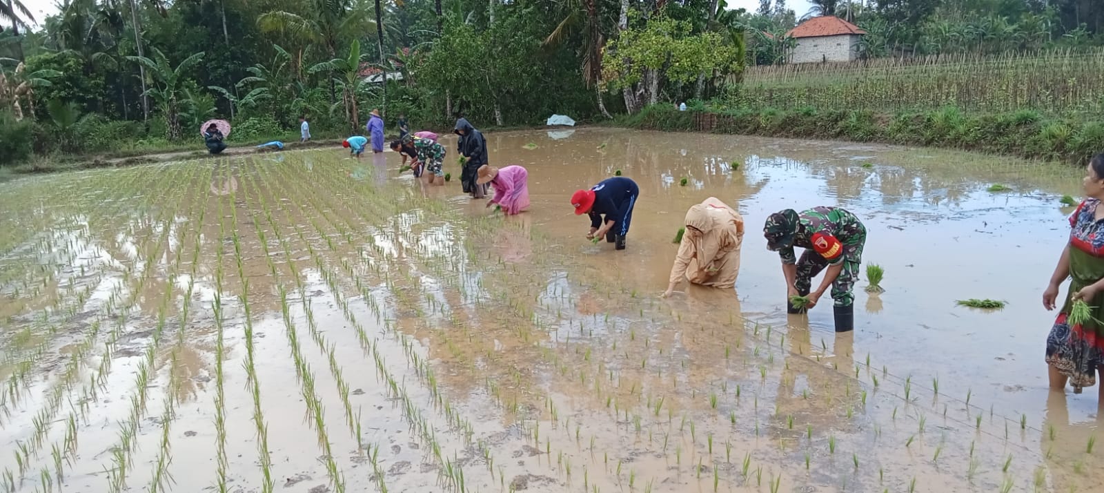 Koramil Dukung Program PAT di Desa Manding Laok Sumenep