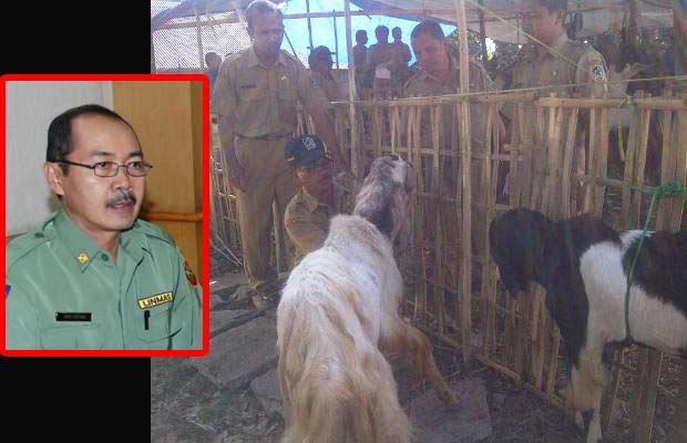 Tim Dinas Peternakan Banyuwangi saat memantau hewan kurban. Inset, Heru Santoso, Kepala Dinas Peternakan Banyuwangi.