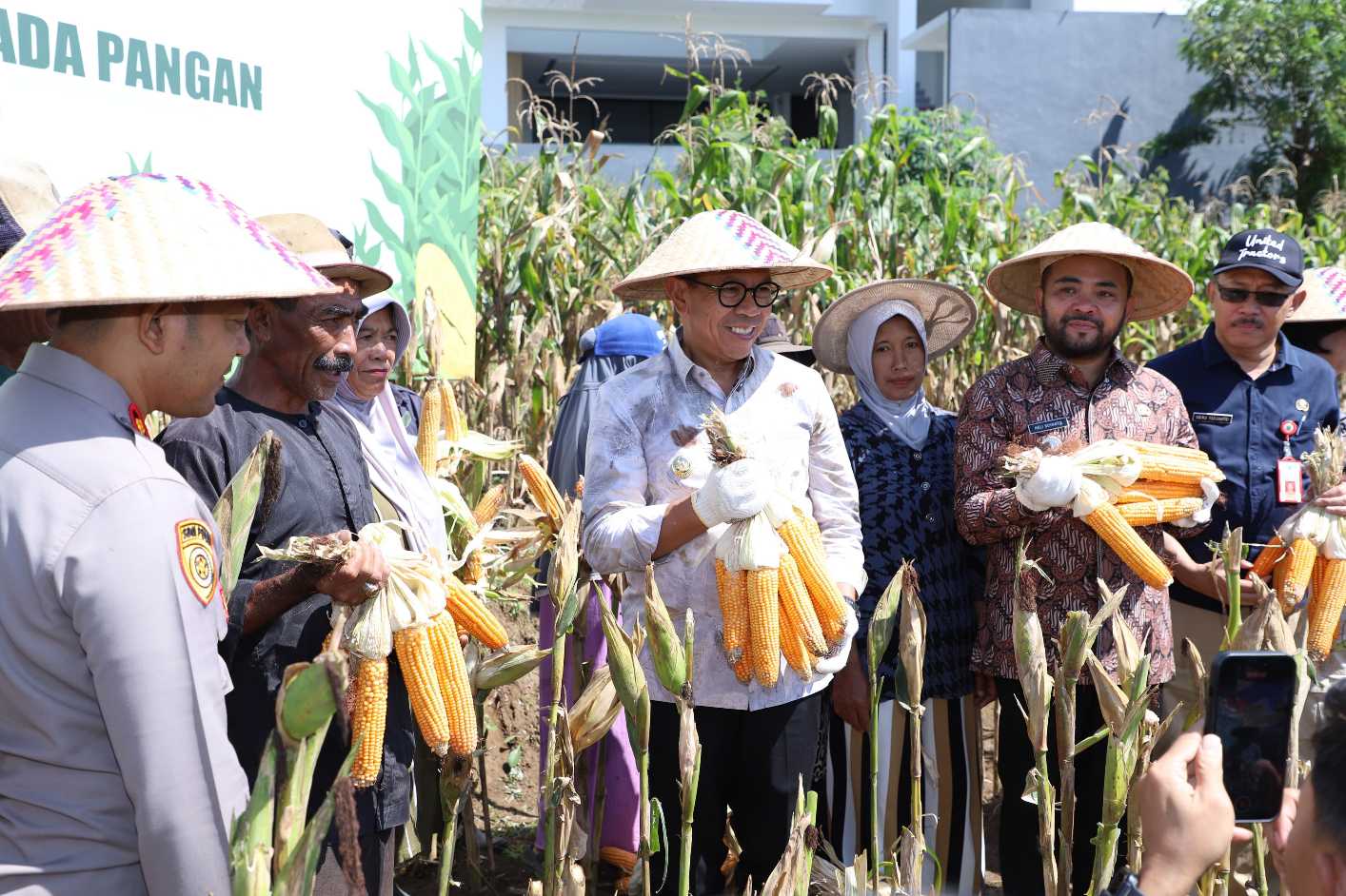 Wali Kota Batu, Nurochman saat memanen jagung