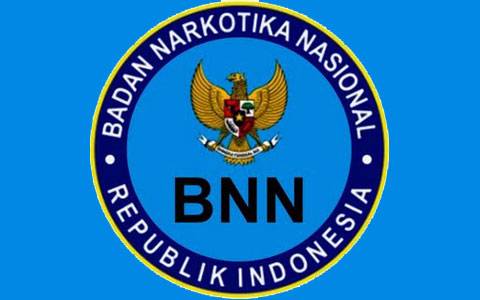 bnn