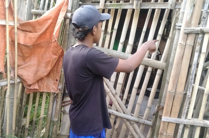 Anak Gimin sedang menunjukkan kadang dalam keadaan kosong setelah 3 ekor kambing milik ayahnya itu digondol maling.       