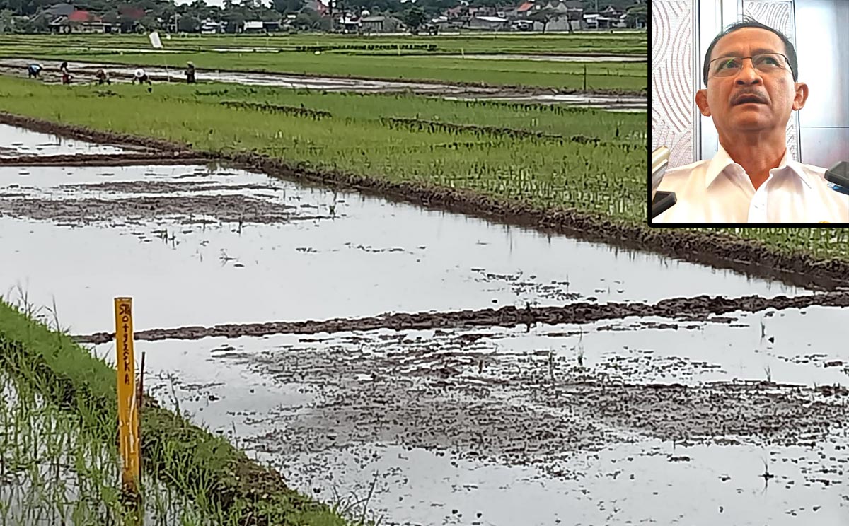 Pembangunan Ruas Tol Tulungagung-Kediri Segera Dimulai, Penlok Ditarget ...