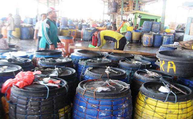 Aktivitas di pasar ikan Lamongan. Pasokan kurang harga melambung. agar bisa makan ikan, Mancing yuk! foto: nur qomar hadi/BANGSAONLINE
