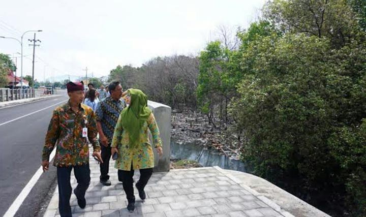 Kawasan mangrove di tempat Wisata Boom yang akan ditebangi habis.