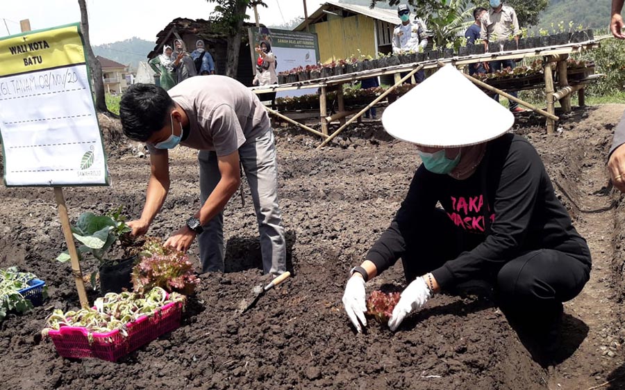 Wali Kota Batu Dewanti Rumpoko saat ikut menanam bibit.