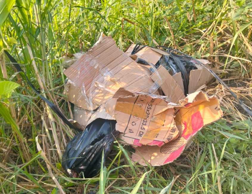 Geger Minggu Pagi! Mayat Tanpa Identitas Ditemukan Terbungkus Plastik di Semak Tepi Jalan Kedamean