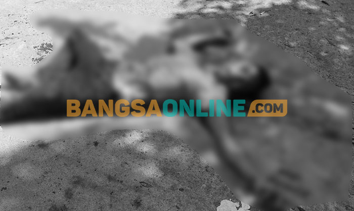 Dendam Asmara, Warga Bangkalan Dibacok Pria Sampang