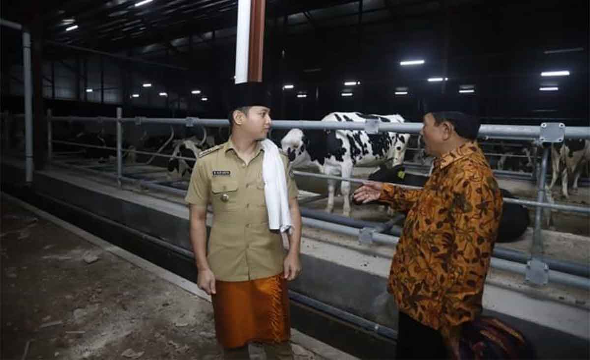 Bupati Trenggalek, Mochamad Nur Arifin, saat menerima investor sapi perah di Desa Boto Putih, Kecamatan Bendungan.