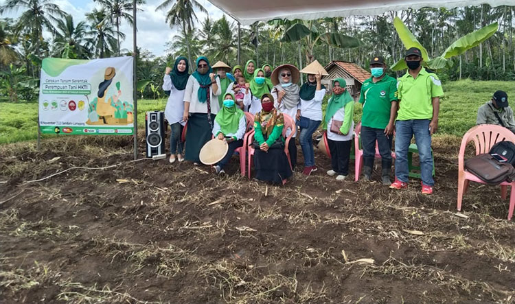 Salah satu kegiatan Gerakan Tanam Serentak Perempuan Tani HKTI yang dilaksanakan di Kabupaten Lumajang. (foto: ist)