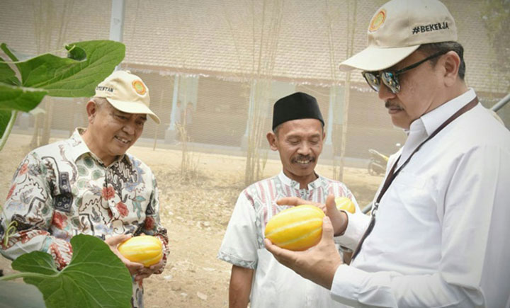 Irjen IV Kementan terpesona melon chimoy Ponpes Al Huda.