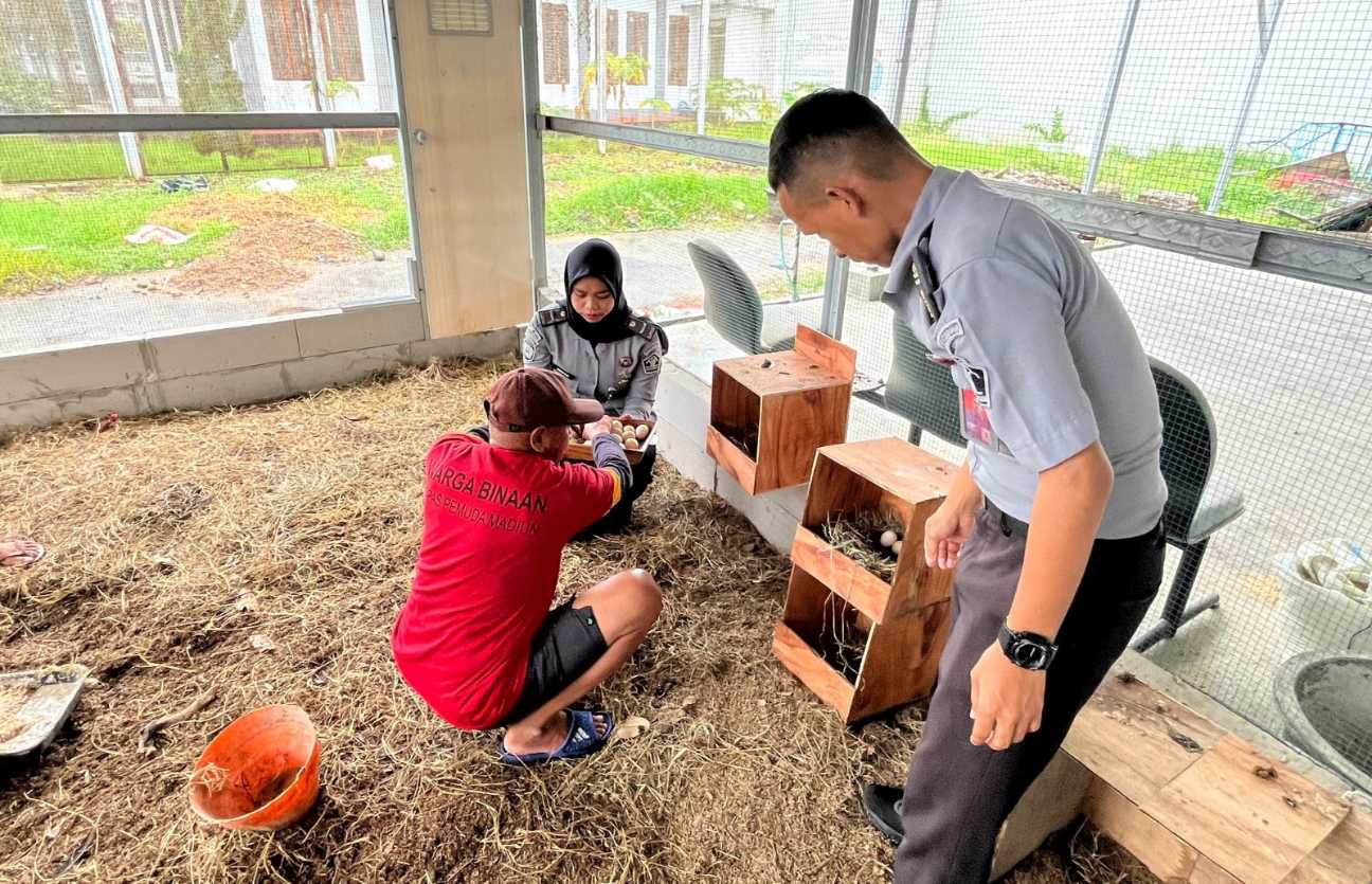 Manfaatkan Lahan Hidran, Lapas Pemuda Madiun Ajak WBP Beternak Ayam Kampung