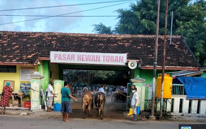 Pasar hewan di Tuban.