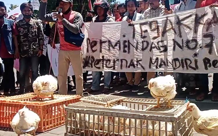 Puluhan peternak ayam potong saat demo di depan Kantor Pemerintah Kabupaten Pamekasan. (foto: ist).