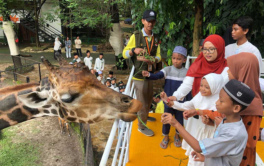 Puluhan anak yatim saat diajak feeding jerapah dalam kegiatan ngabuburit di KBS bersama Wartawan Pokja Grahadi.