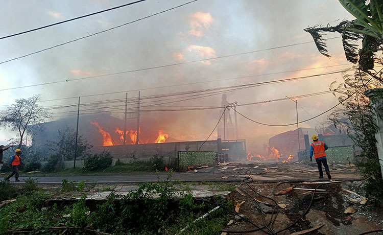 Pabrik Kayu CV Graha Papan Lestari di Jalan Prof. Hamka Kota Probolinggo ludes terbakar. (foto: ist)