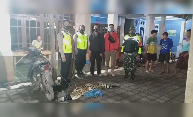 Petugas dan warga foto bersama buaya yang baru saja ditangkap.