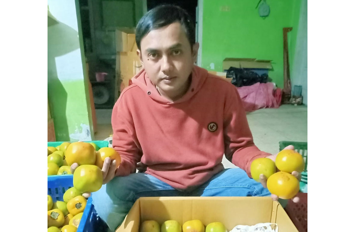 Sudarmono, salah satu petani dan pengepul saat menunjukkan kesemek asal Junggo.