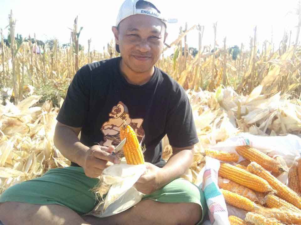 Syaiful Bahri.