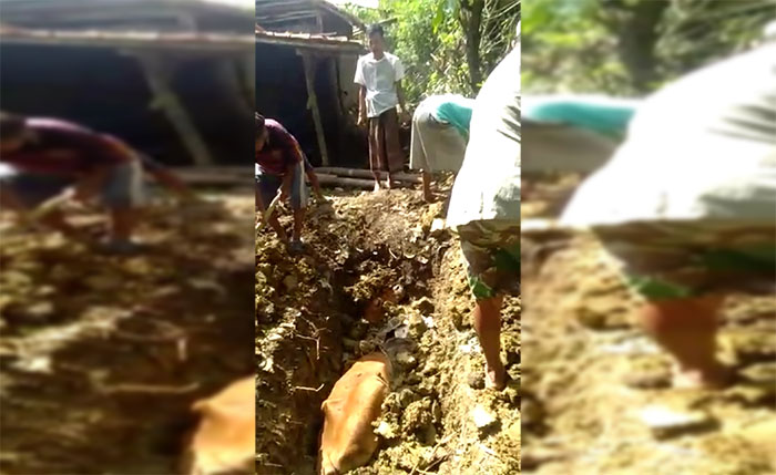 Salah satu sapi milik peternak di Kecamatan Kedungdung yang mati.