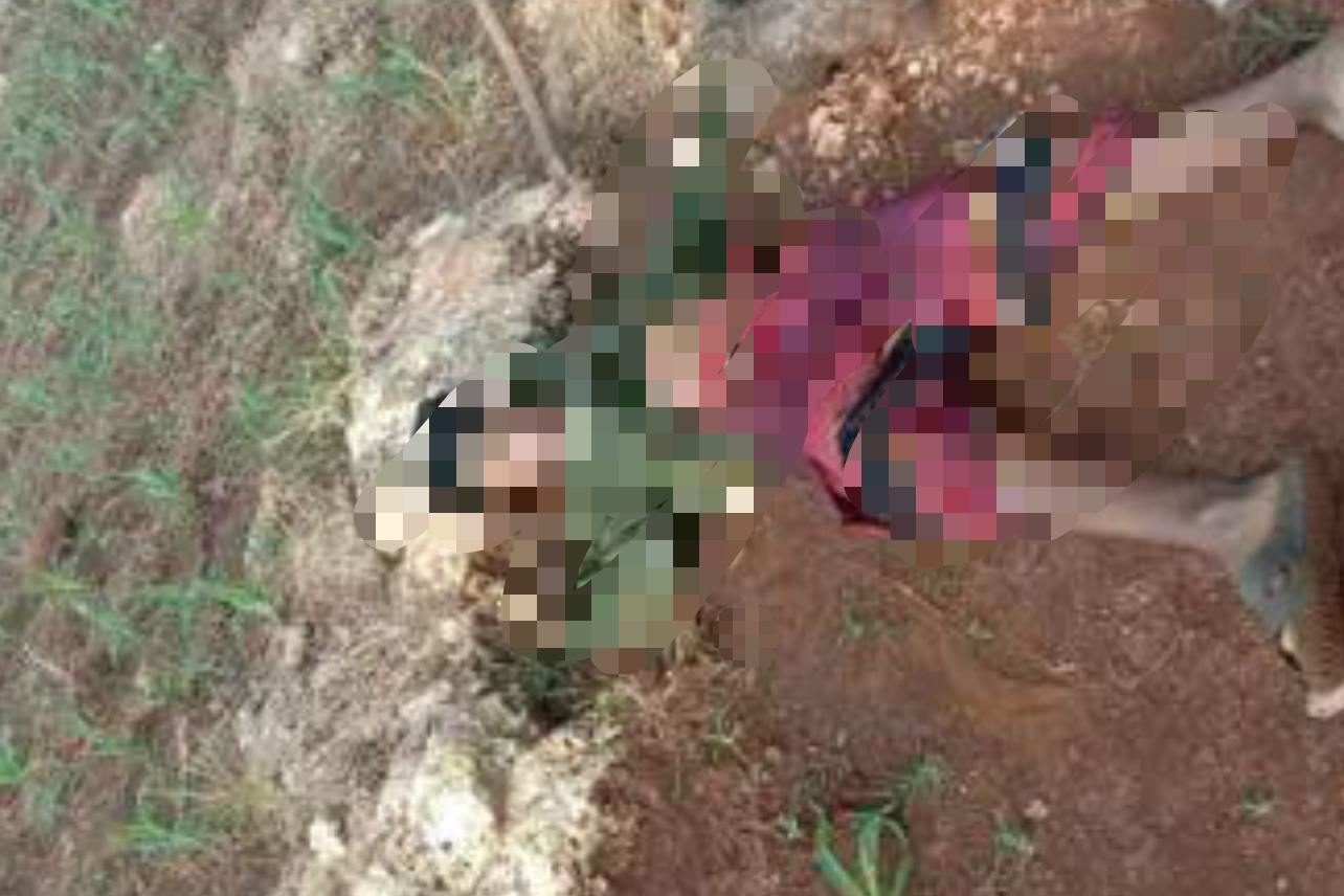 Korban berinisial FA saat diketemukan tewas di ladang jagung Desa Wotan (foto: Ist)