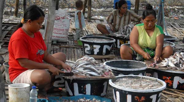 Mbelek ikan jada sumber penghasilan warga pesisir Lamongan. foto: nurqomar hadi/ BANGSAONLINE