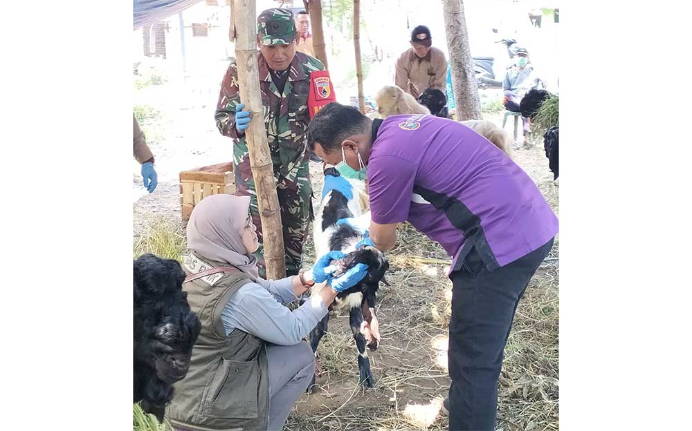 Sidak, Disnak Pasuruan tak Temukan Hewan Kurban Terjangkit Penyakit Berbahaya