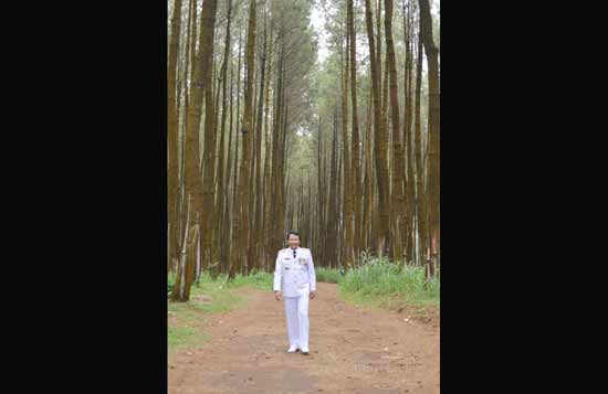 Bupati Pasuruan HM Irsyad Yusuf saat berada di hutan pinus.