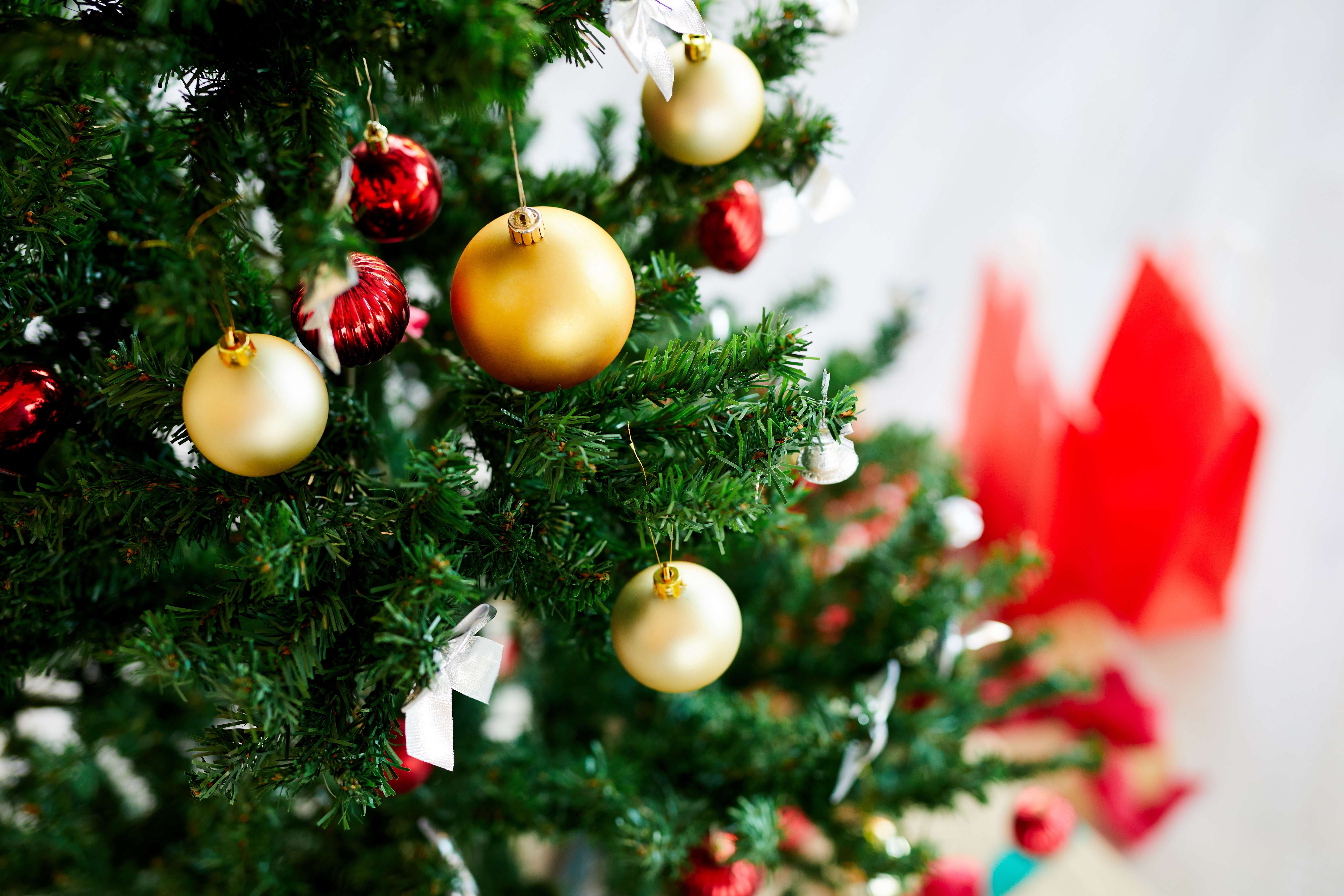 Warna Hijau Pada Perayaan Natal, Ternyata ini Maknanya